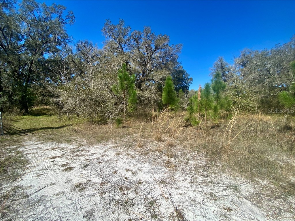 01 Unnamed Spring Hill FL 34610 TB8362819 image58
