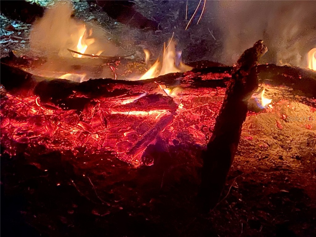 01 Unnamed Spring Hill FL 34610 TB8362819 image60