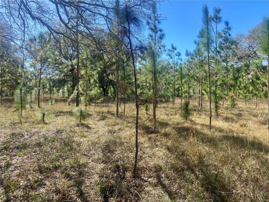 01 Unnamed Spring Hill FL 34610 TB8362819 image64
