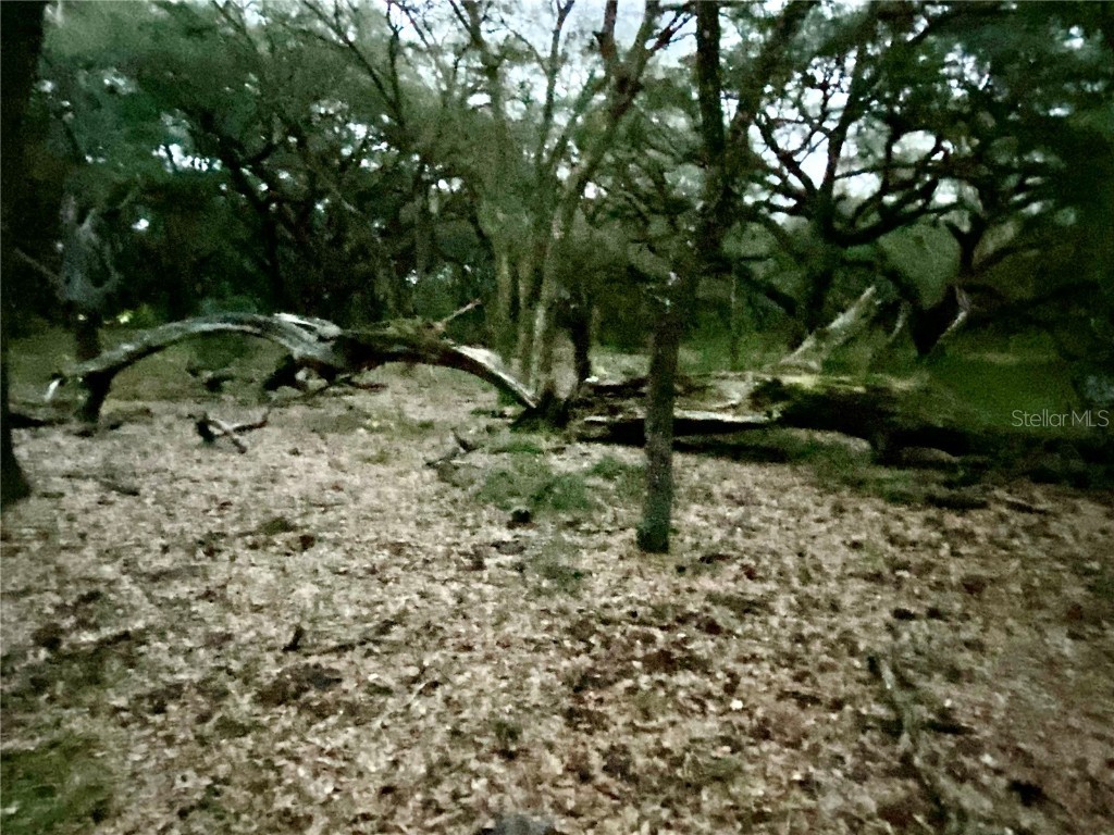 01 Unnamed Spring Hill FL 34610 TB8362819 image65