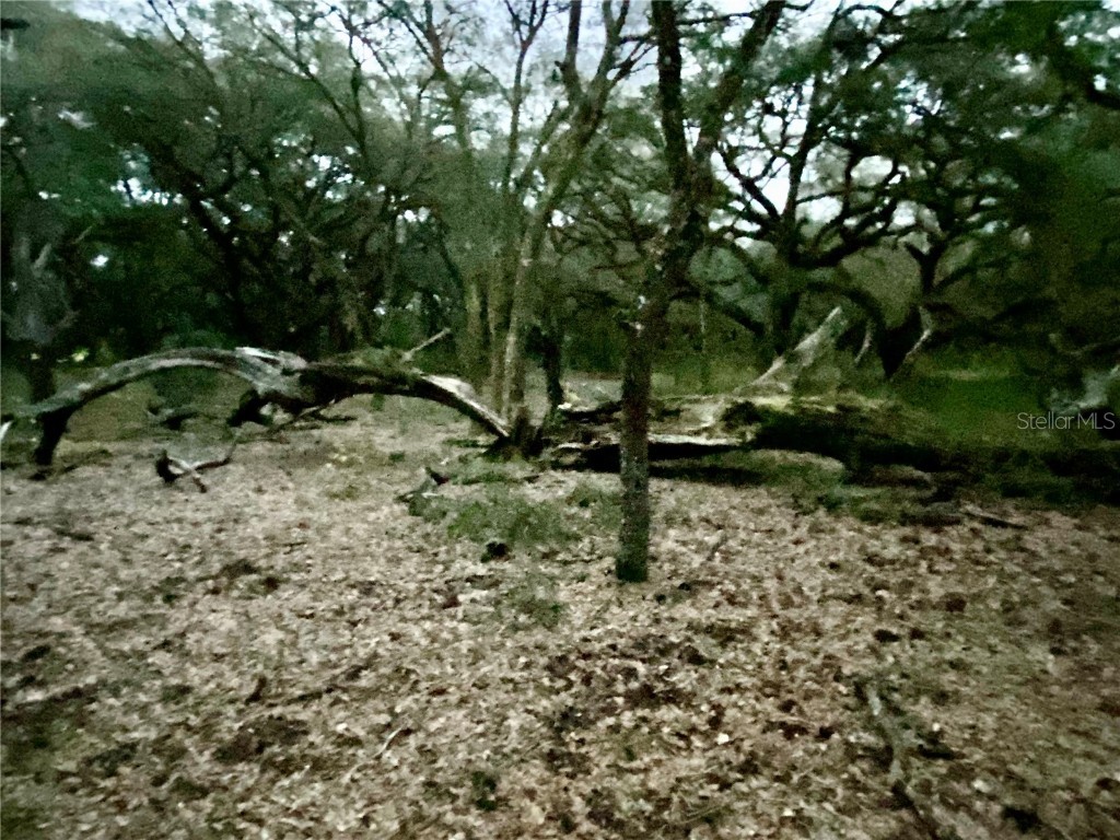 01 Unnamed Spring Hill FL 34610 TB8362819 image66