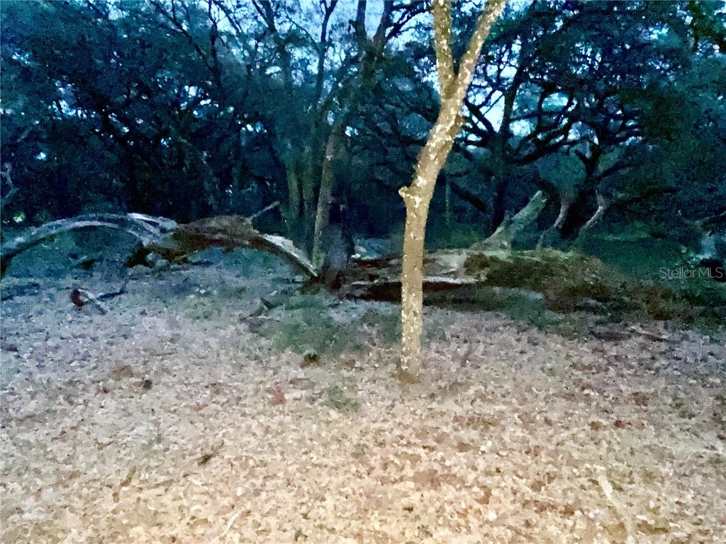 01 Unnamed Spring Hill FL 34610 TB8362819 image67