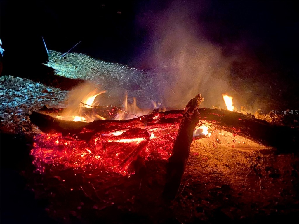 01 Unnamed Spring Hill FL 34610 TB8362819 image68