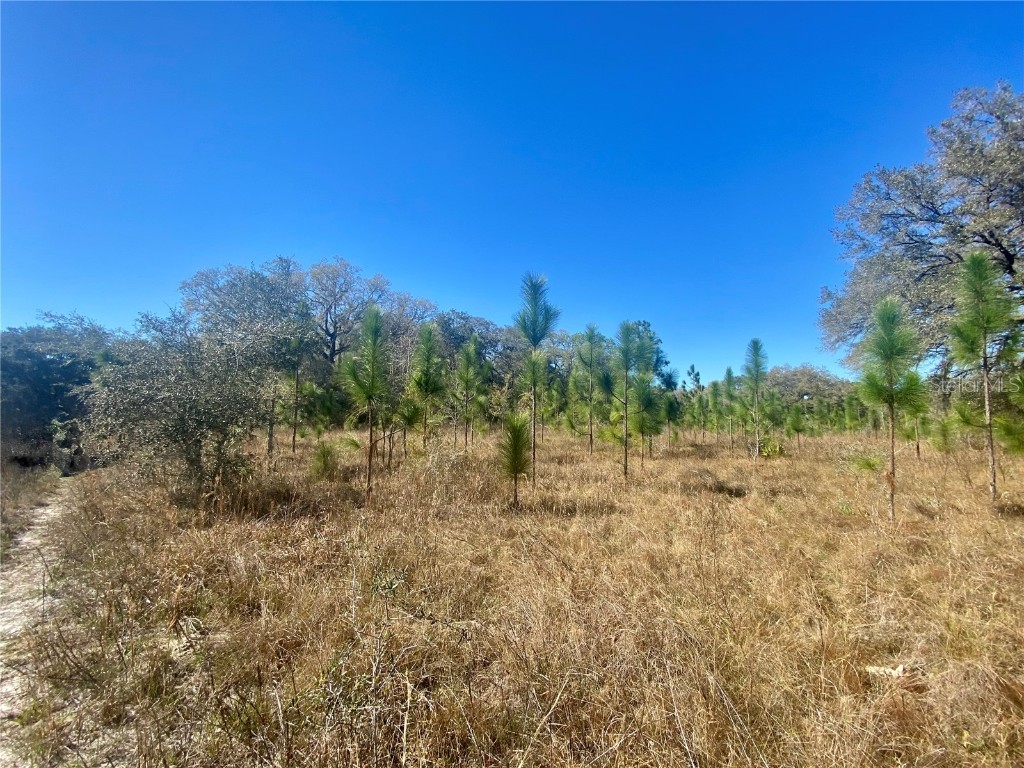 01 Unnamed Spring Hill FL 34610 TB8362819 image69