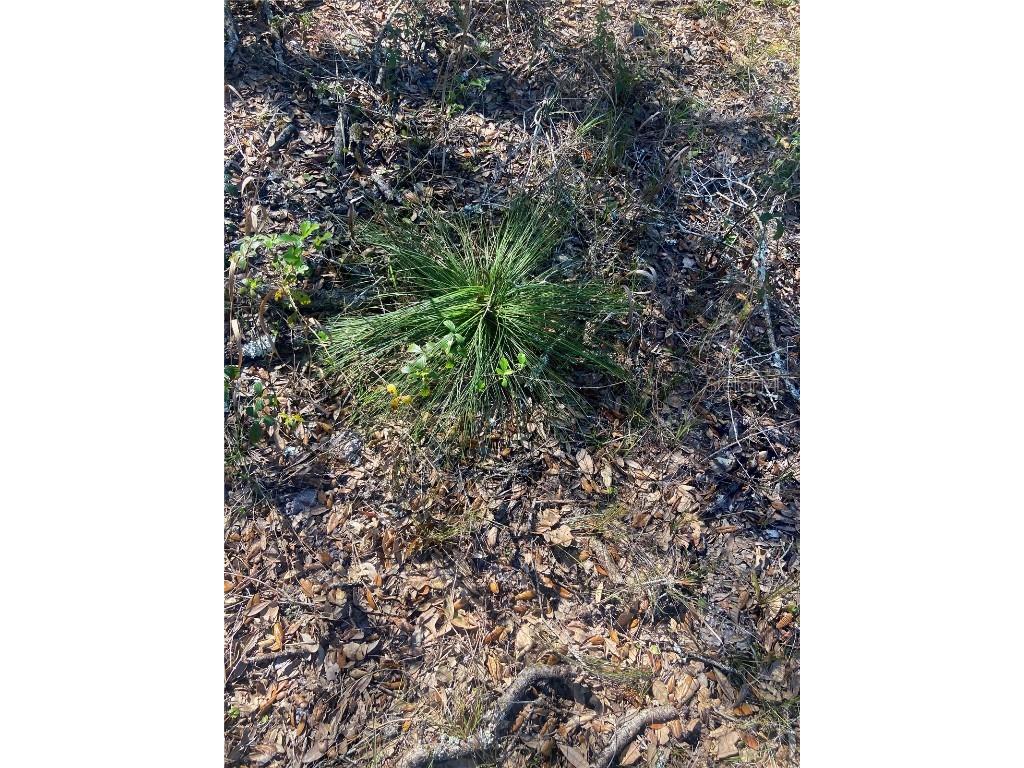 01 Unnamed Spring Hill FL 34610 TB8362819 image75