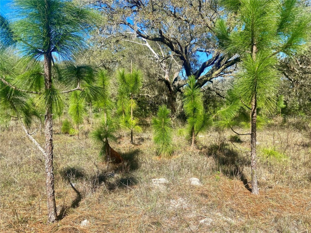 01 Unnamed Spring Hill FL 34610 TB8362819 image78