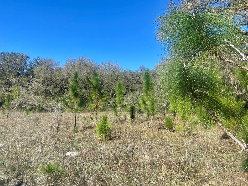 01 Unnamed Spring Hill FL 34610 TB8362819 image79