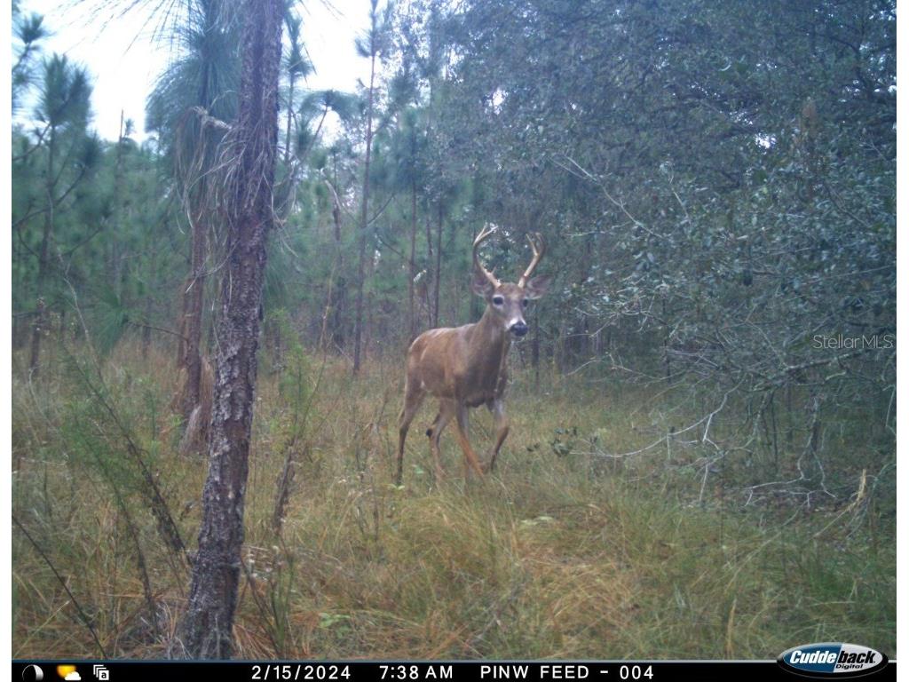 01 Unnamed Spring Hill FL 34610 TB8362819 image8