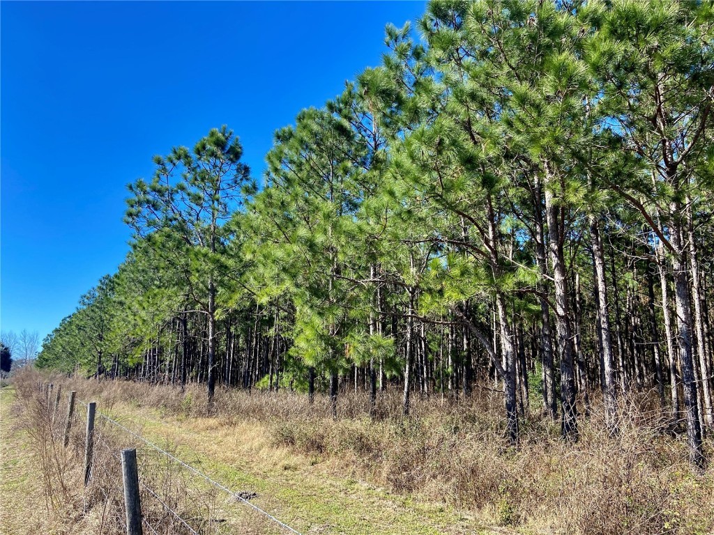 01 Unnamed Spring Hill FL 34610 TB8362819 image87