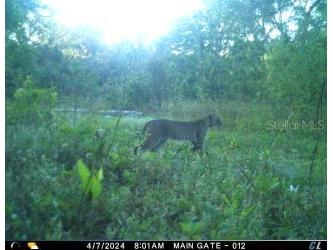 01 Unnamed Spring Hill FL 34610 TB8362819 image9