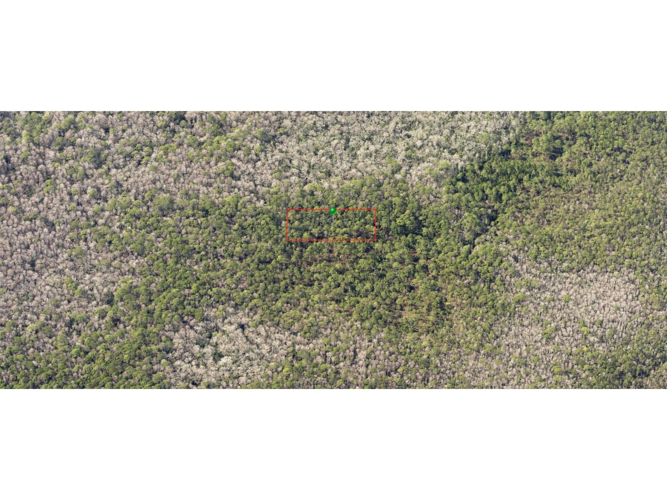 0190 County Road Deland FL 32724 OM713111 image1