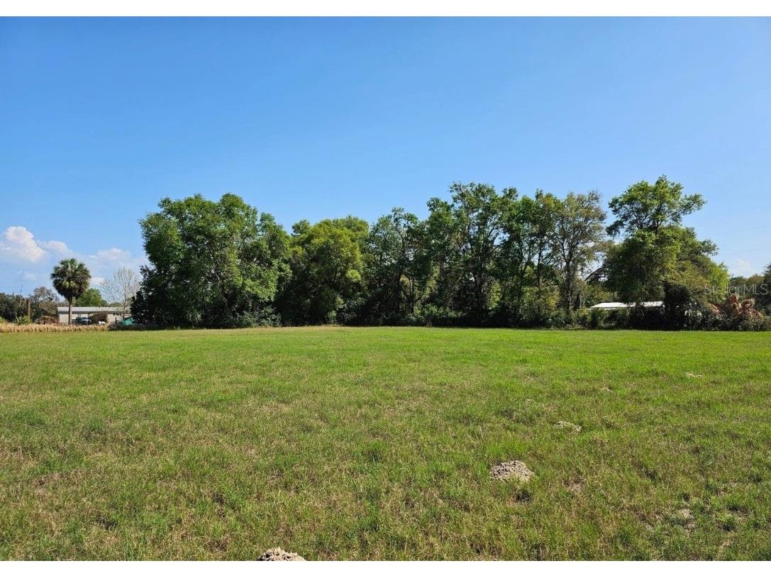 02-24-18-0000-00300-0000 County Line Road Spring Hill FL 34610 W7855740 image1