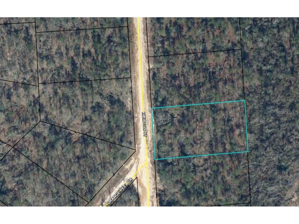 02-2N-11-0084-0730-0080 Hibiscus Street Marianna FL 32448 A4540986 image1