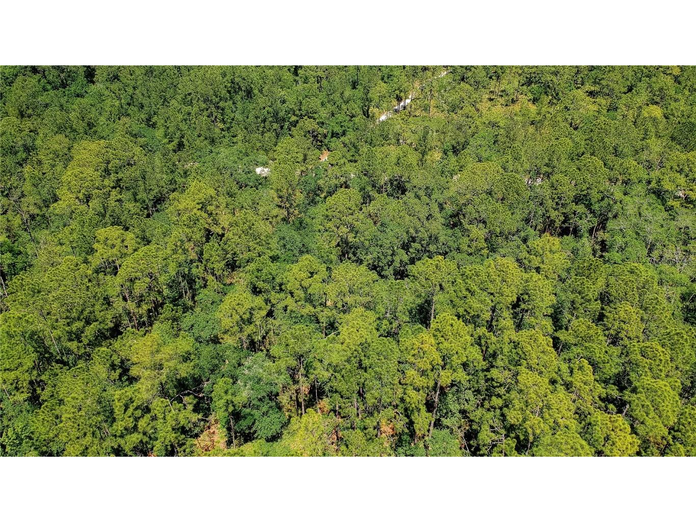 03-09-27-7732-0230-0200 SE 3rd Avenue Palatka FL 32177 A4606900 image1