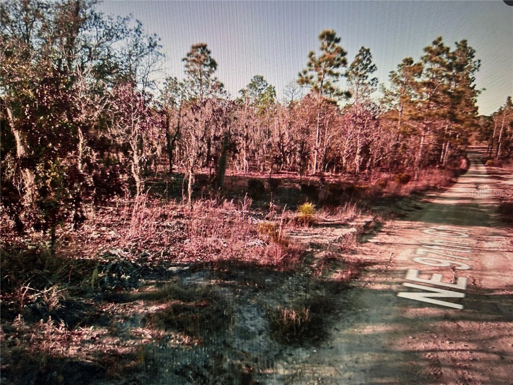 03381-235-00 Ne 97th Court Bronson FL 32621 A4654397 image1