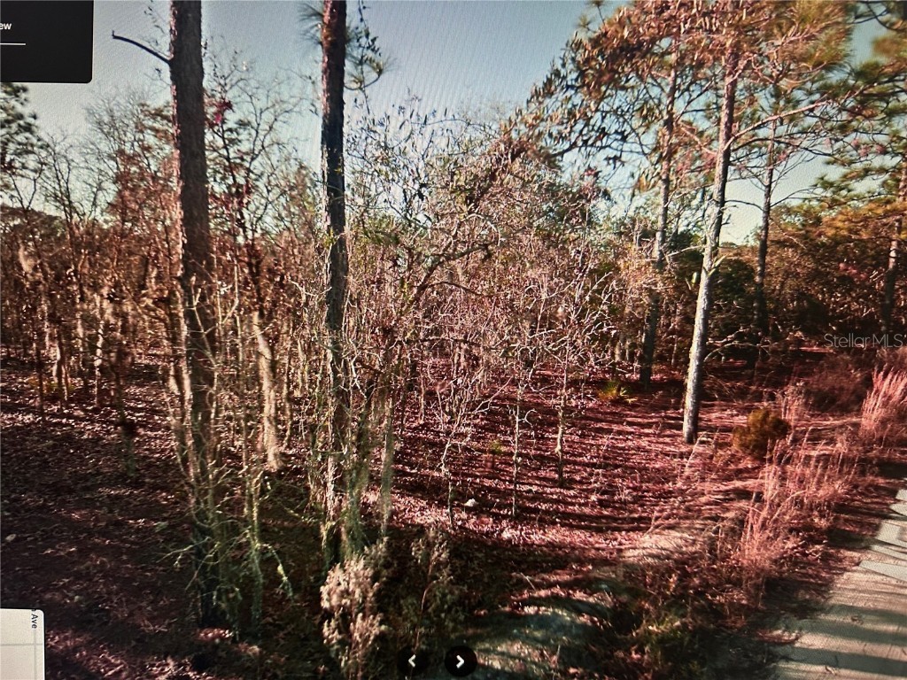 03381-235-00 Ne 97th Court Bronson FL 32621 A4654397 image2