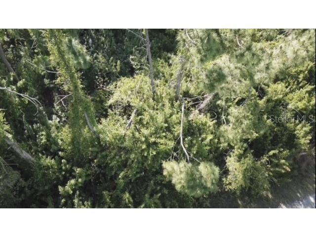 06 Mansfield Circle North Port FL 34288 C7499210 image10