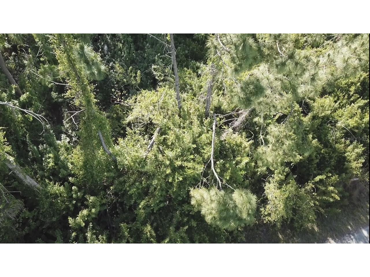 06 Mansfield Circle North Port FL 34288 C7499210 image16