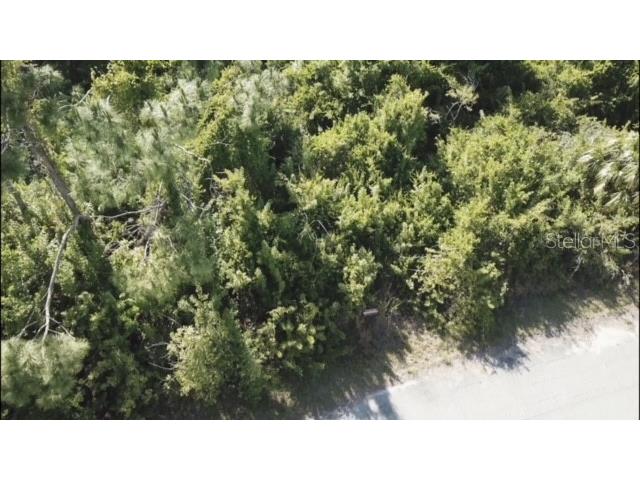 06 Mansfield Circle North Port FL 34288 C7499210 image7