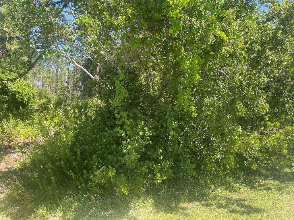 06 Slogan Place Palm Coast FL 32164 FC300229 image1