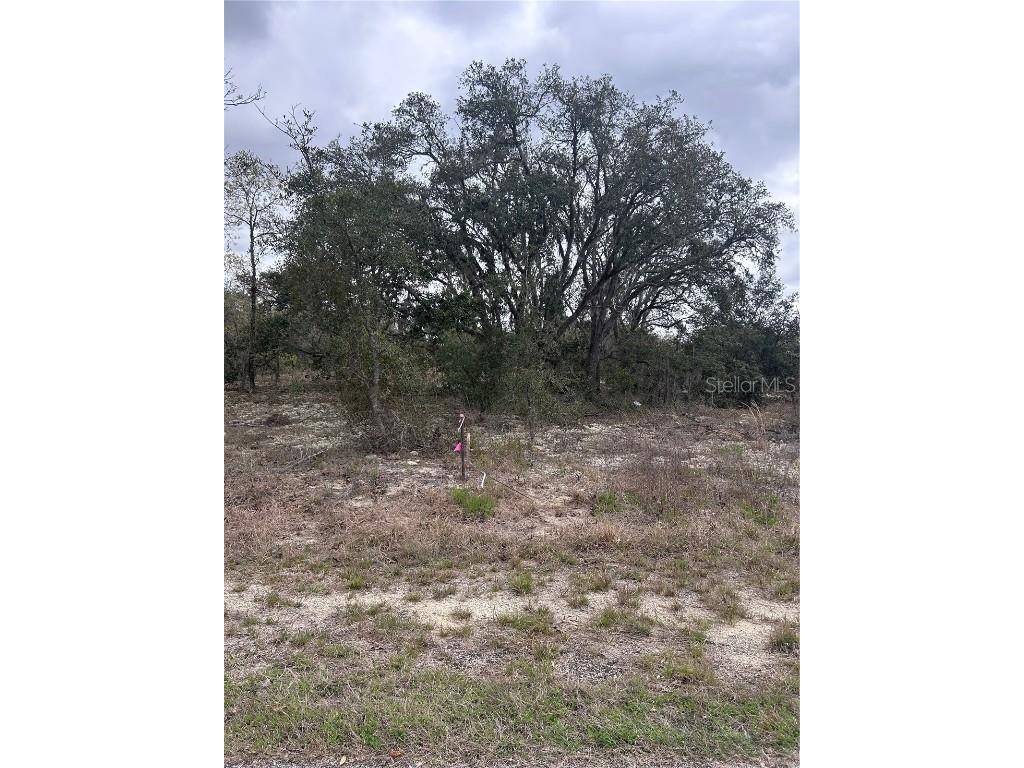 08-22 Winding Hills Road Dunnellon FL 34431 OM698271 image1