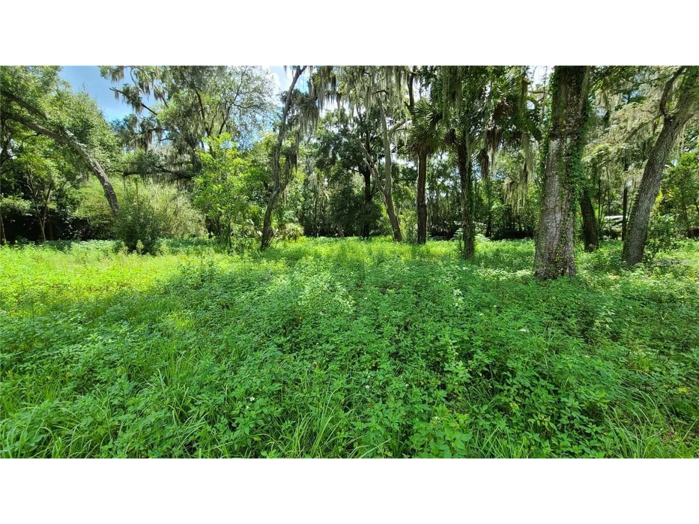 087148-0000 Little Road Valrico FL 33596 T3468675 image1