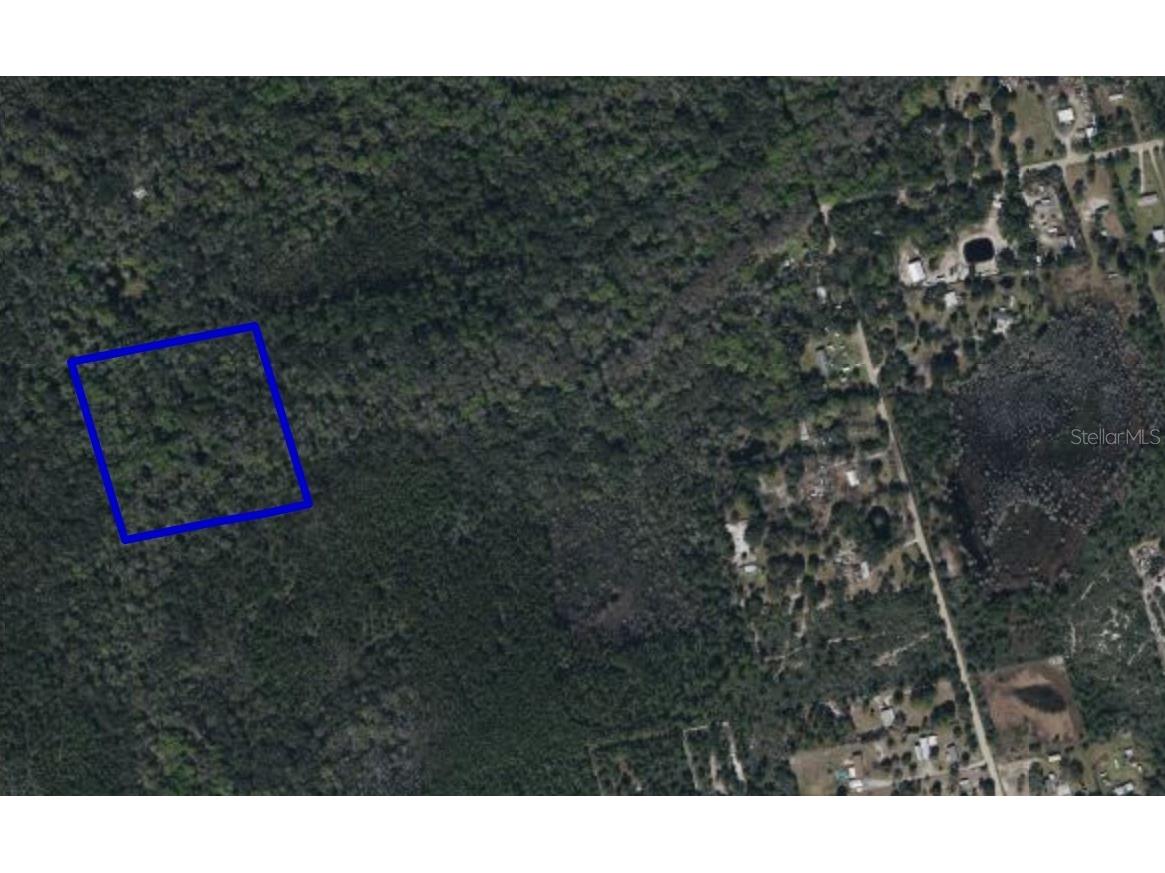 095 Pine Needle Road Mims FL 32754 O6242445 image1