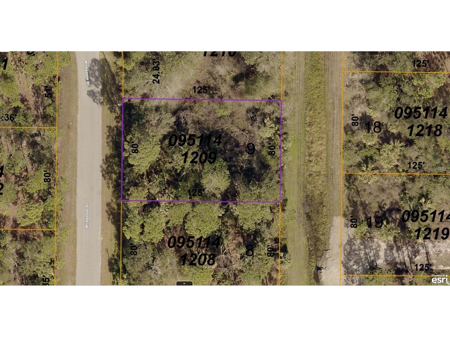 0951141209 Wildgoose Drive North Port FL 34291 A4581708 image1