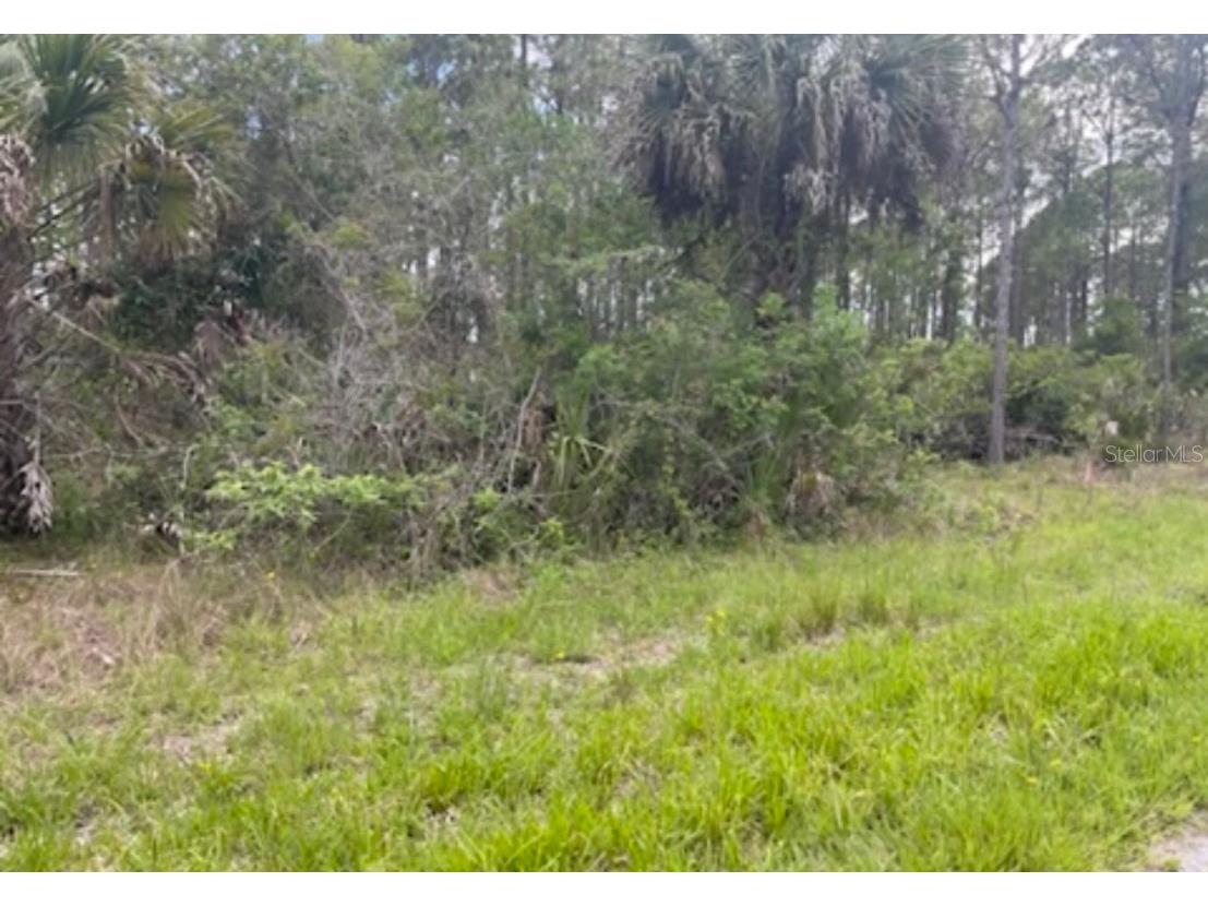 0954126609 Averette Avenue North Port FL 34291 U8229781 image11