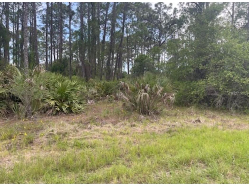 0954126609 Averette Avenue North Port FL 34291 U8229781 image12