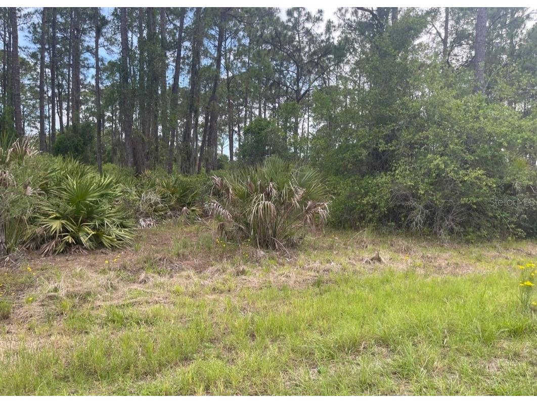 0954126609 Averette Avenue North Port FL 34291 U8229781 image2