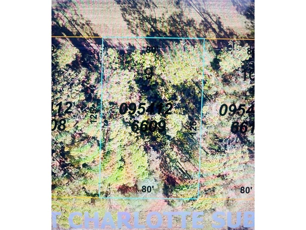 0954126609 Averette Avenue North Port FL 34291 U8229781 image3