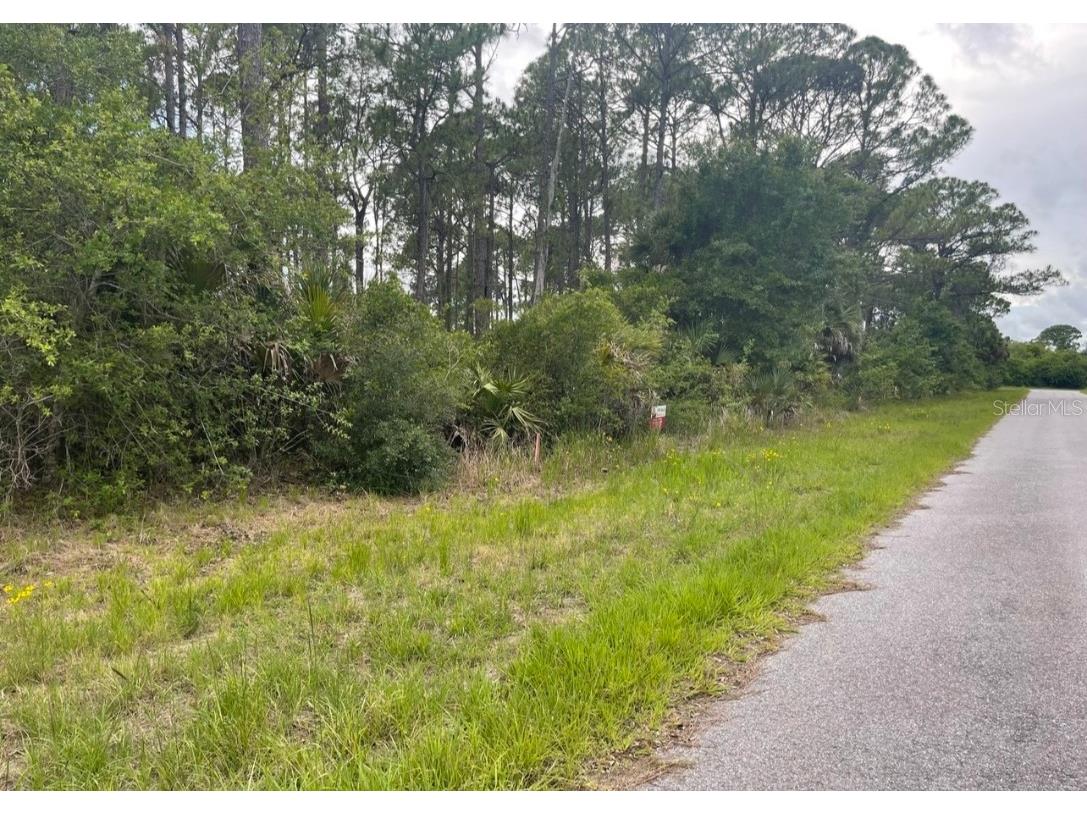 0954126609 Averette Avenue North Port FL 34291 U8229781 image6