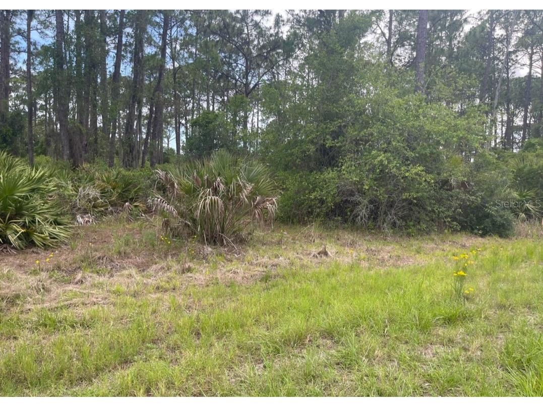 0954126609 Averette Avenue North Port FL 34291 U8229781 image7