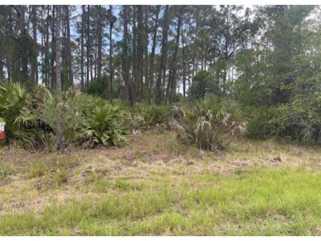 0954126609 Averette Avenue North Port FL 34291 U8229781 image8