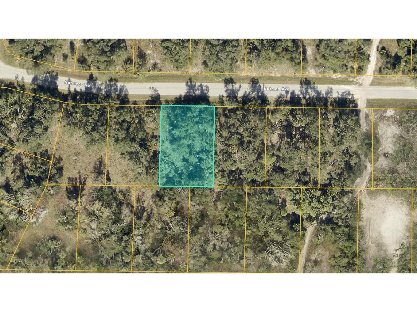 0955152804 Nutmeg Avenue North Port FL 34286 A4640504 image1