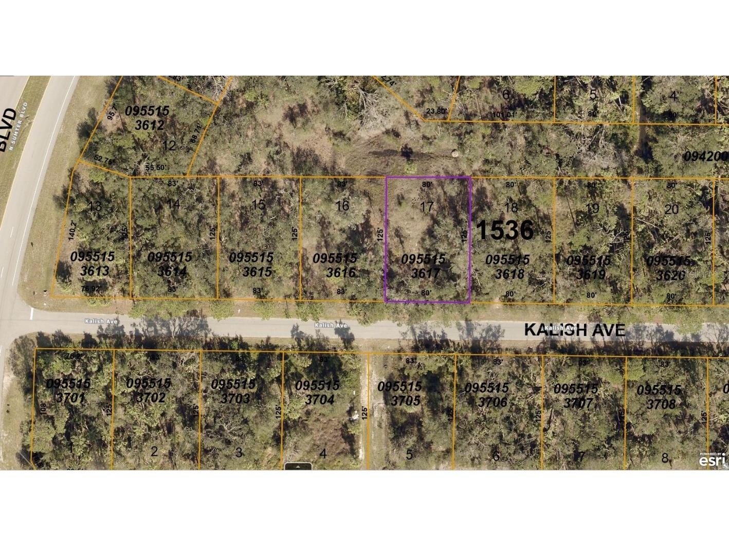 0955153617 Kalish Avenue North Port FL 34286 A4592417 image1