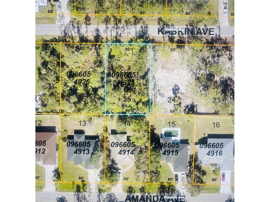 0966054925 Kaskin Avenue North Port FL 34286 U8230249 image1