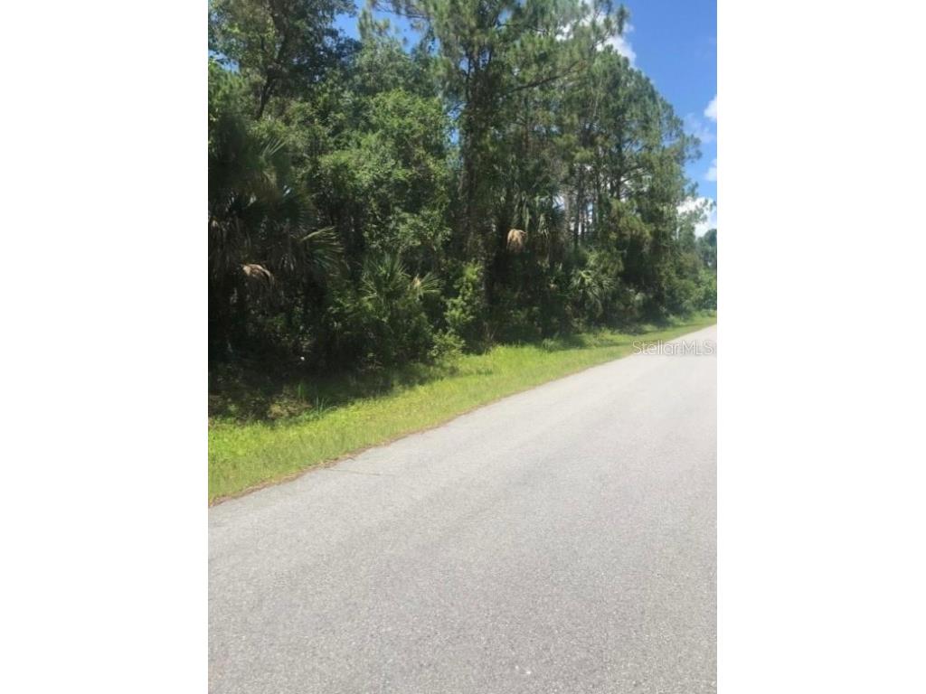 0966054925 Kaskin Avenue North Port FL 34286 U8230249 image14
