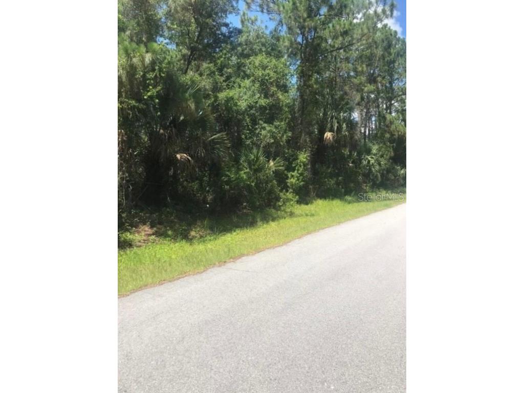 0966054925 Kaskin Avenue North Port FL 34286 U8230249 image17