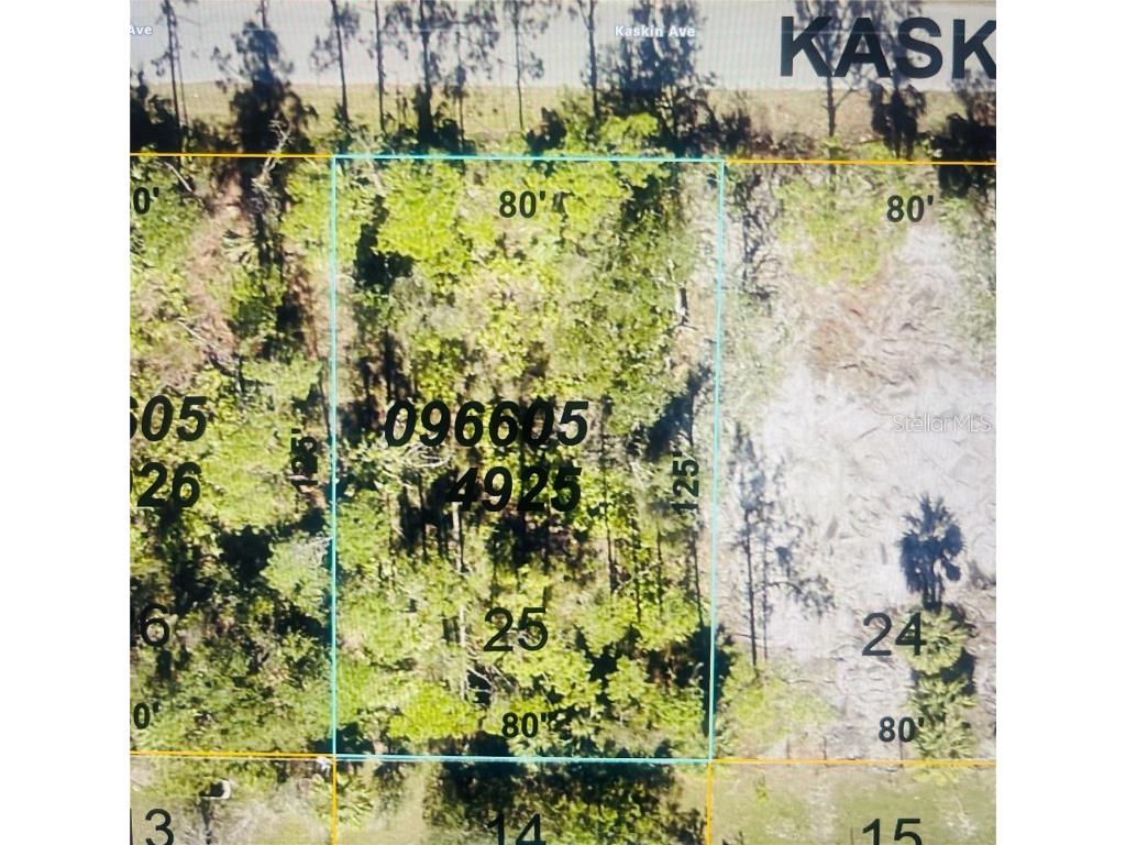 0966054925 Kaskin Avenue North Port FL 34286 U8230249 image6
