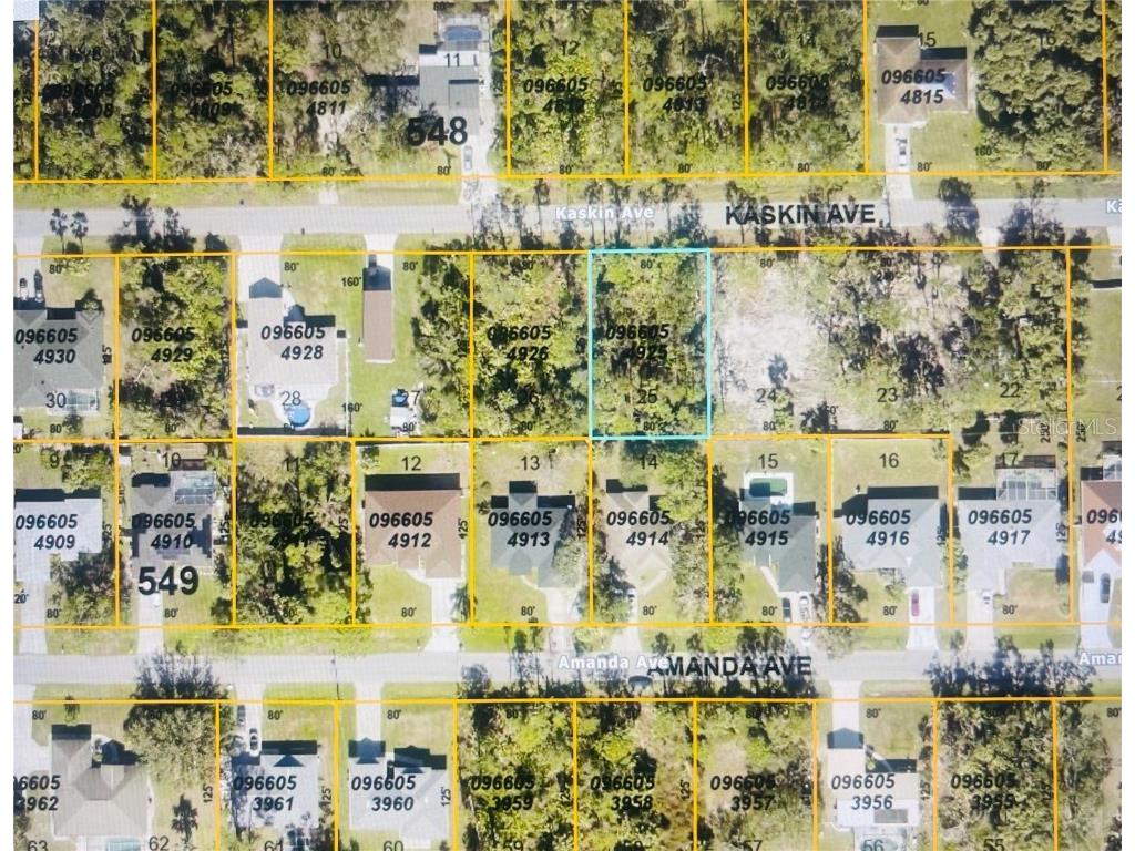 0966054925 Kaskin Avenue North Port FL 34286 U8230249 image8