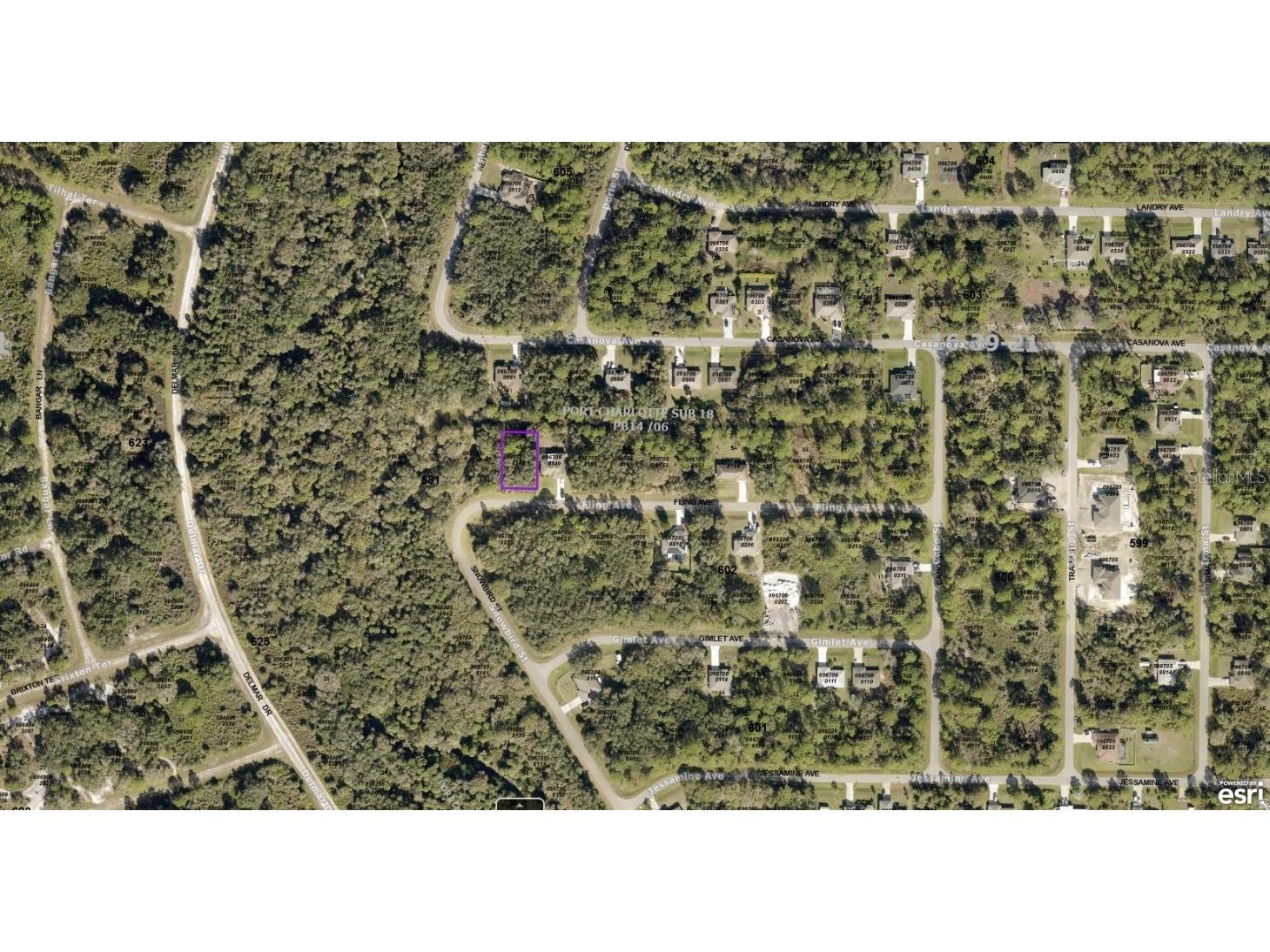 0967058148 Fling Avenue North Port FL 34291 A4557627 image2