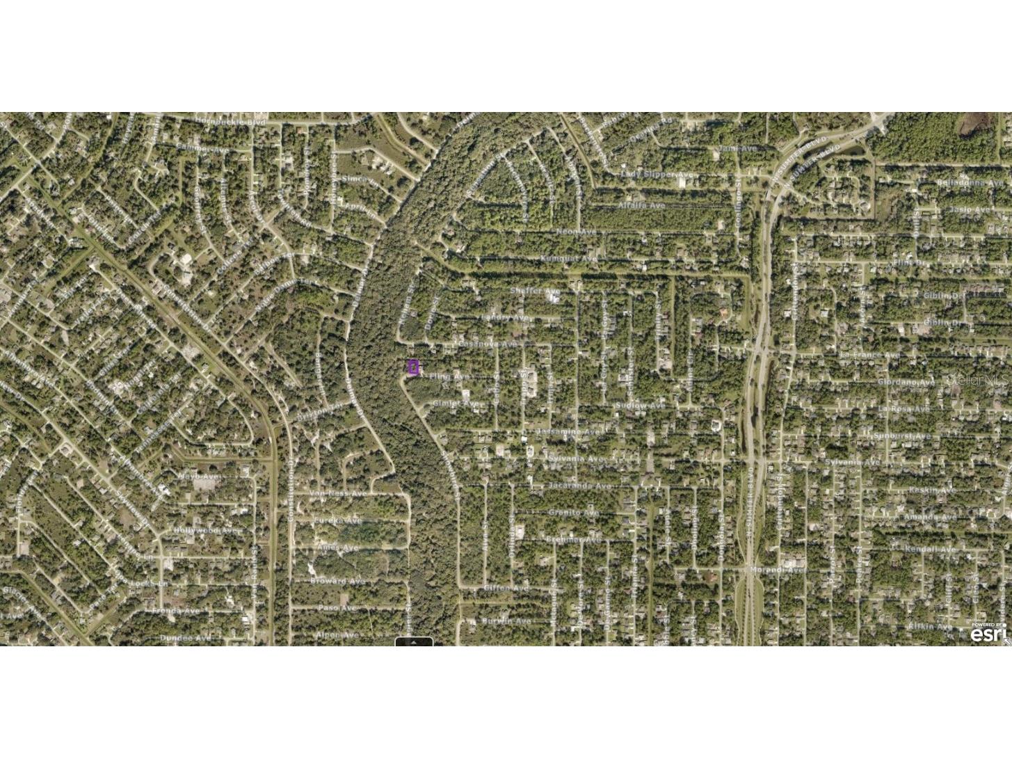 0967058148 Fling Avenue North Port FL 34291 A4557627 image3