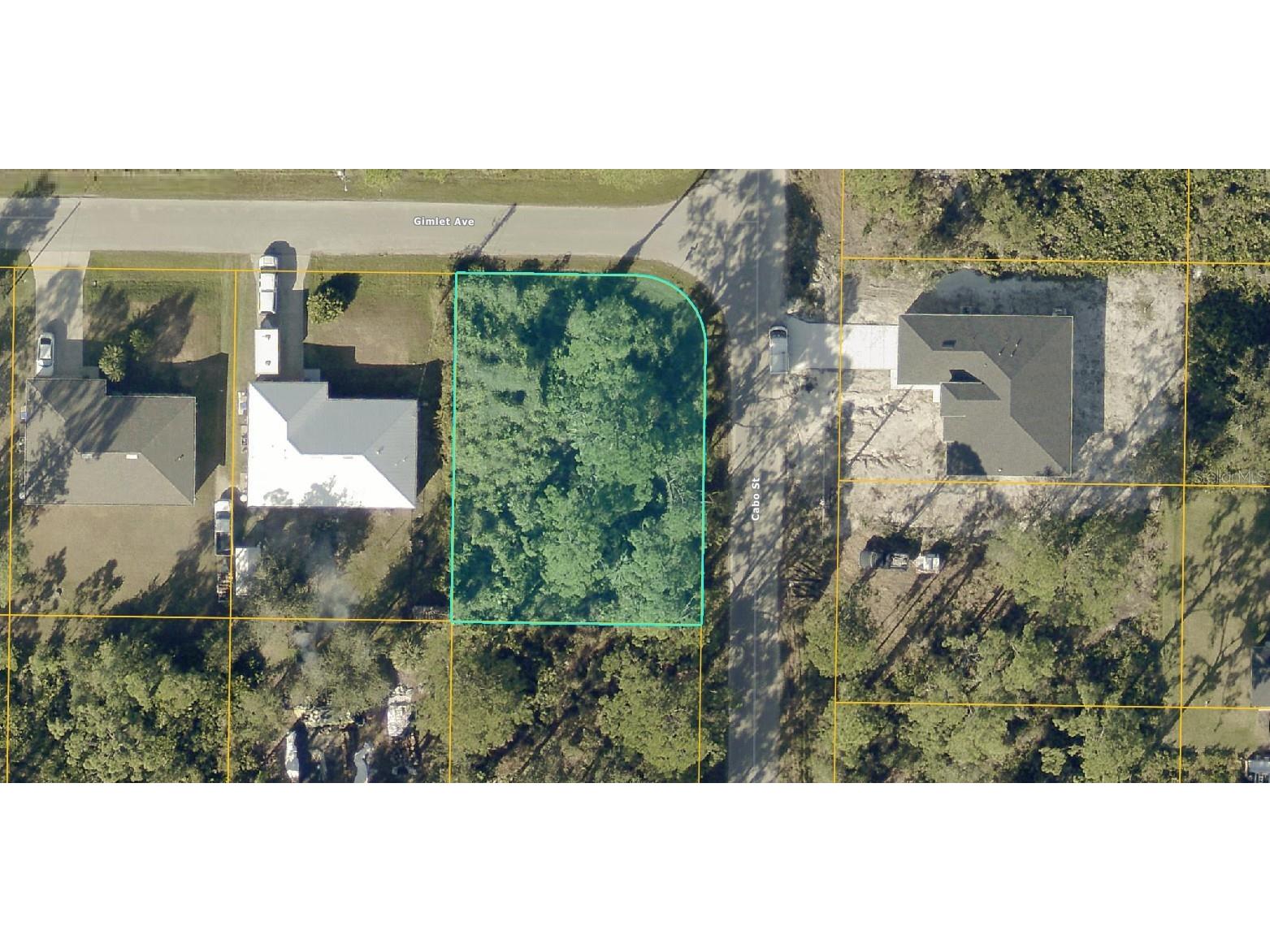 0967060109 Gimlet Avenue North Port FL 34291 A4675132 image1