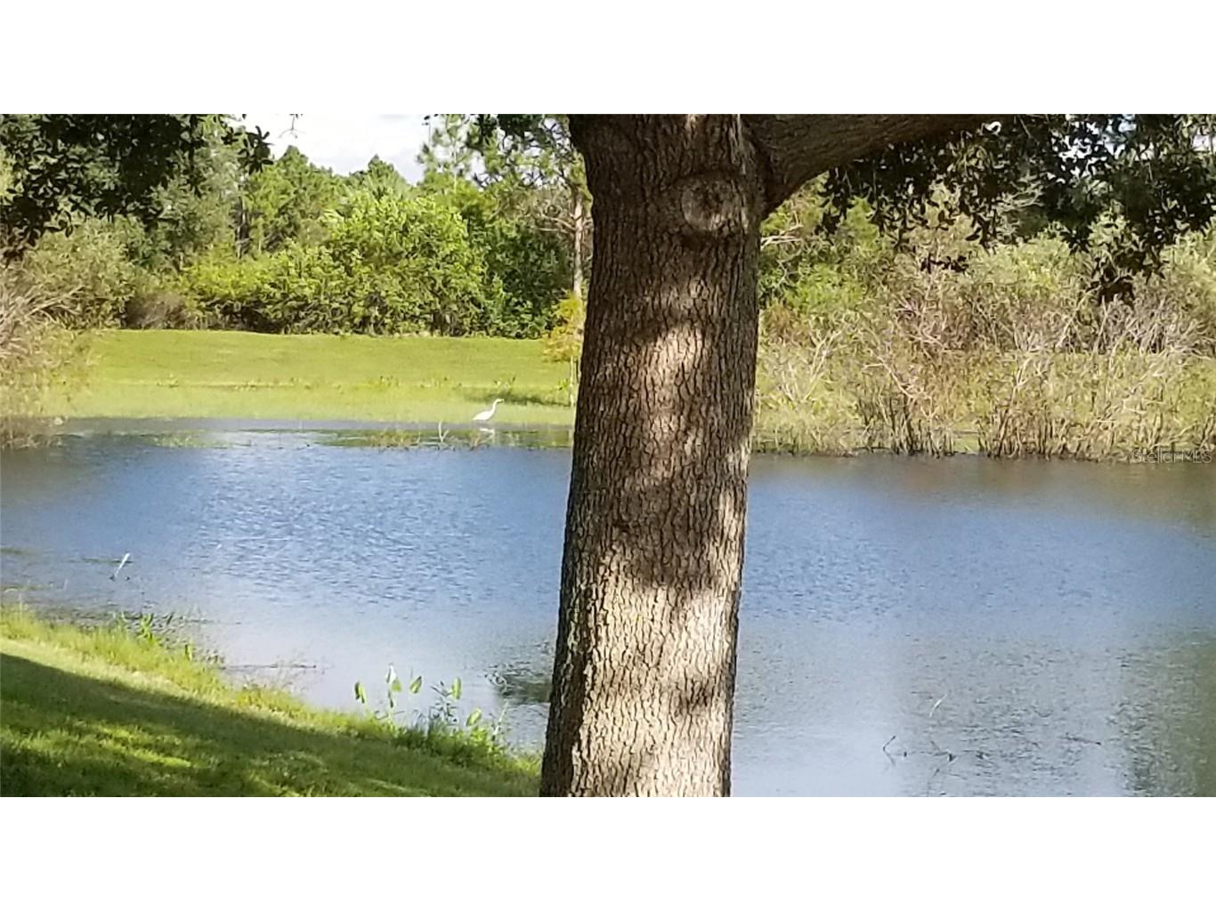 0967060426 Shaffer Avenue North Port FL 34291 A4657858 image32