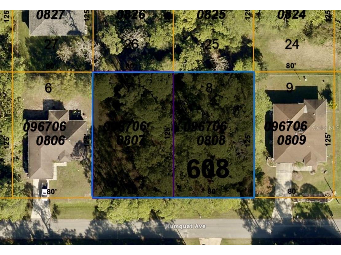 0967060807 & 0967060808 Kumquat Avenue North Port FL 34291 N6124875 image1