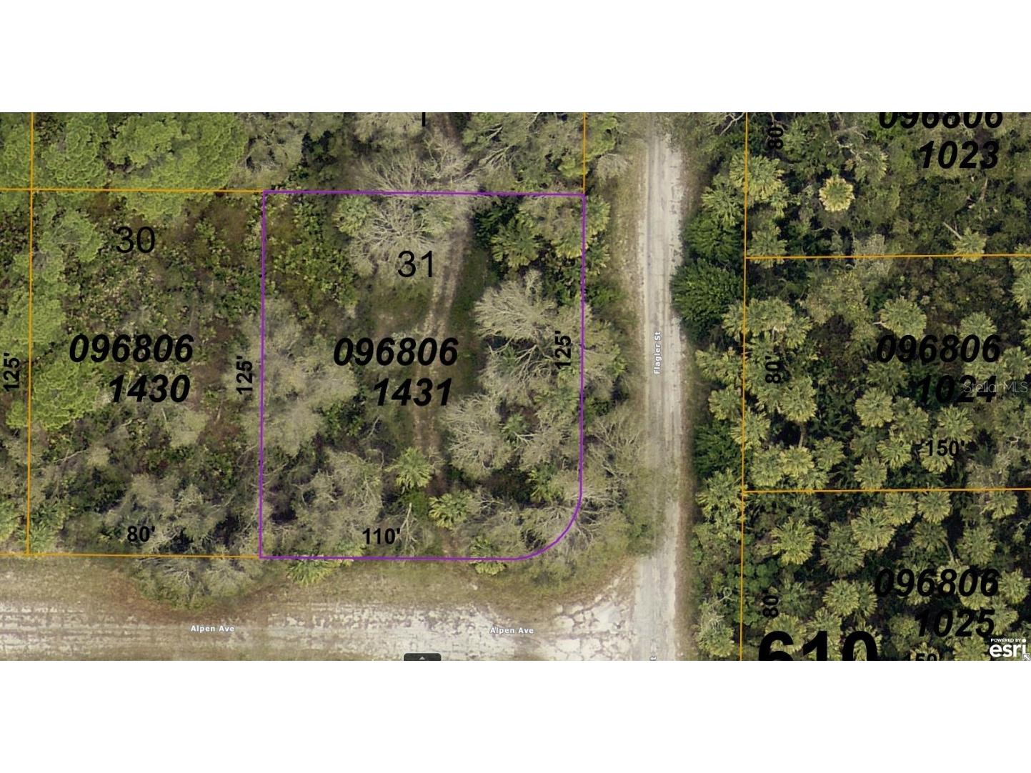 0968061431 Alpen Avenue North Port FL 34291 A4614399 image1