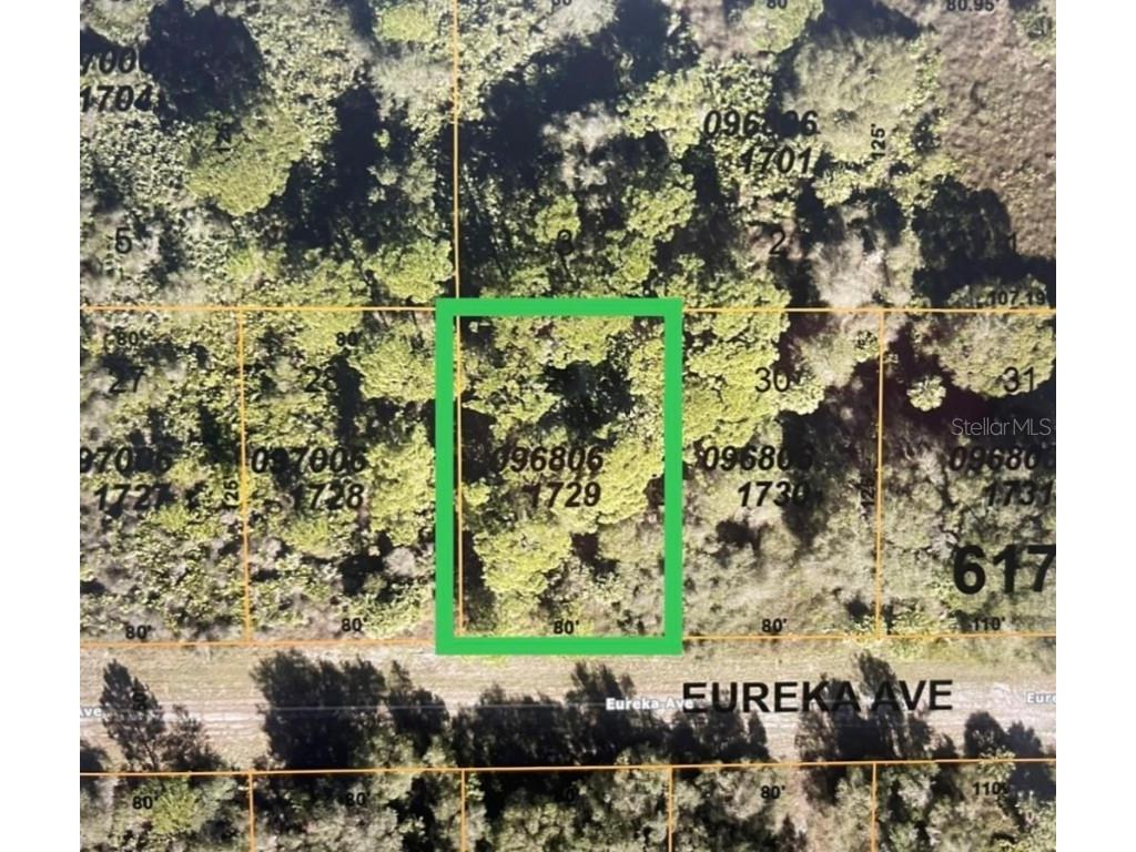 0968061729 Eureka Avenue North Port FL 34291 U8229907 image1