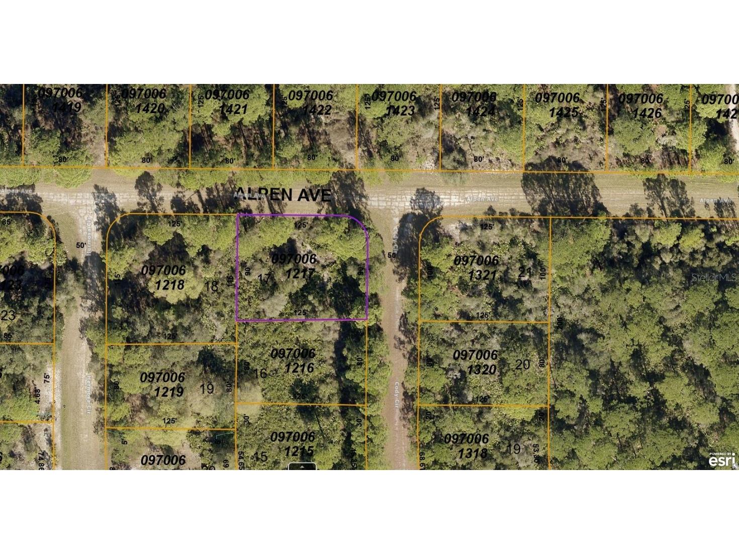 0970-06-1217 Alpen Avenue North Port FL 34291 A4575481 image1